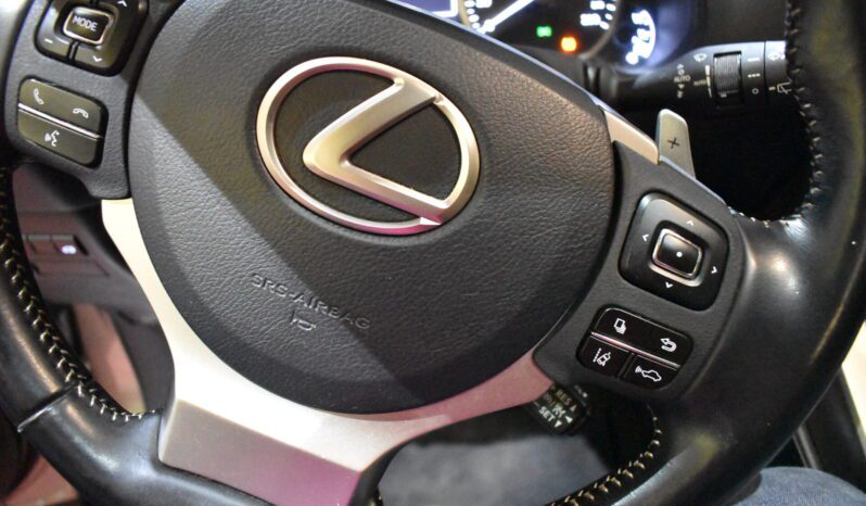 LEXUS NX 2.5 300h EXECUTIVE 4WD lleno