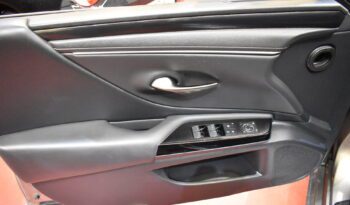 LEXUS ES 2.5 300h Premium lleno