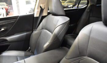 LEXUS ES 2.5 300h Premium lleno