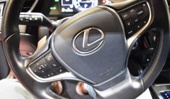 LEXUS ES 2.5 300h Premium lleno