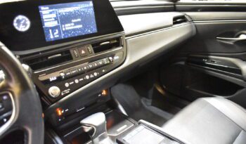 LEXUS ES 2.5 300h Premium lleno