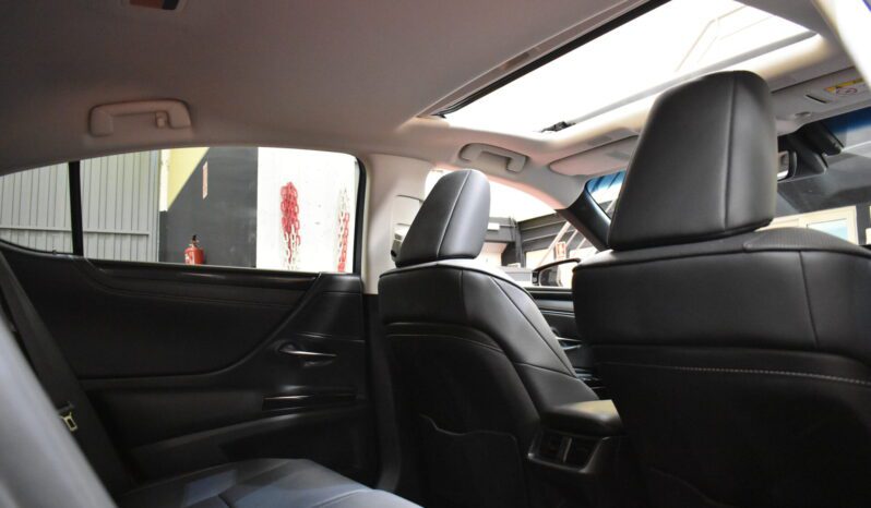 LEXUS ES 2.5 300h Premium lleno