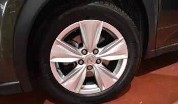 LEXUS UX 2.0 250h Executive lleno